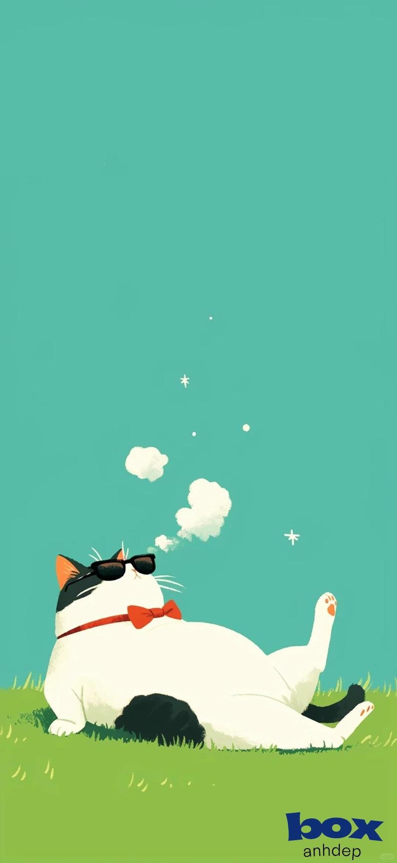 Album ảnh hình nền chill mới