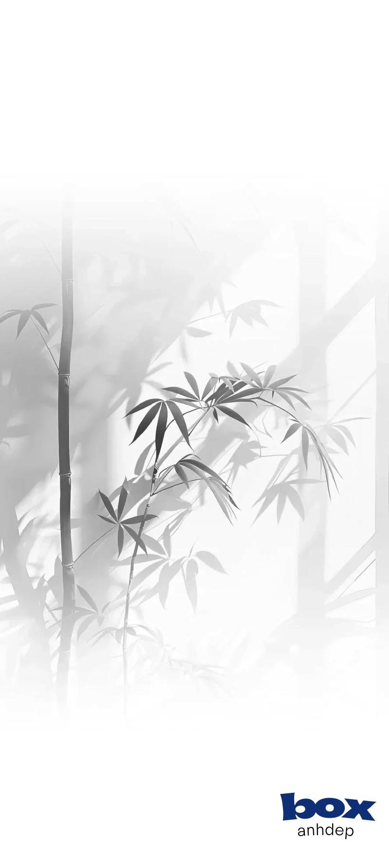 Album ảnh hình nền trắng mới