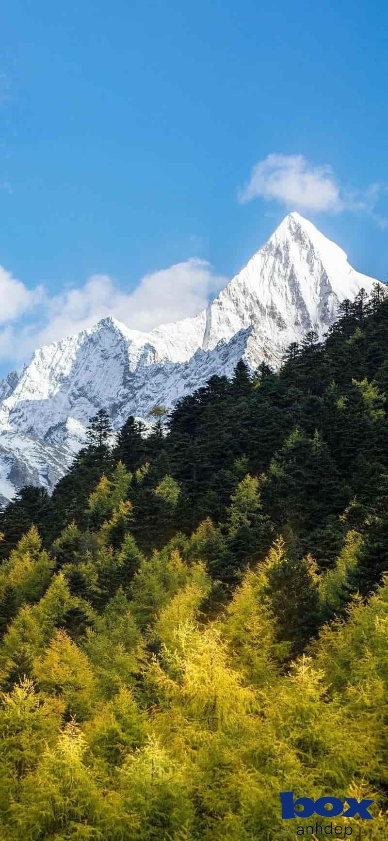 Album hình nền phong cảnh mới