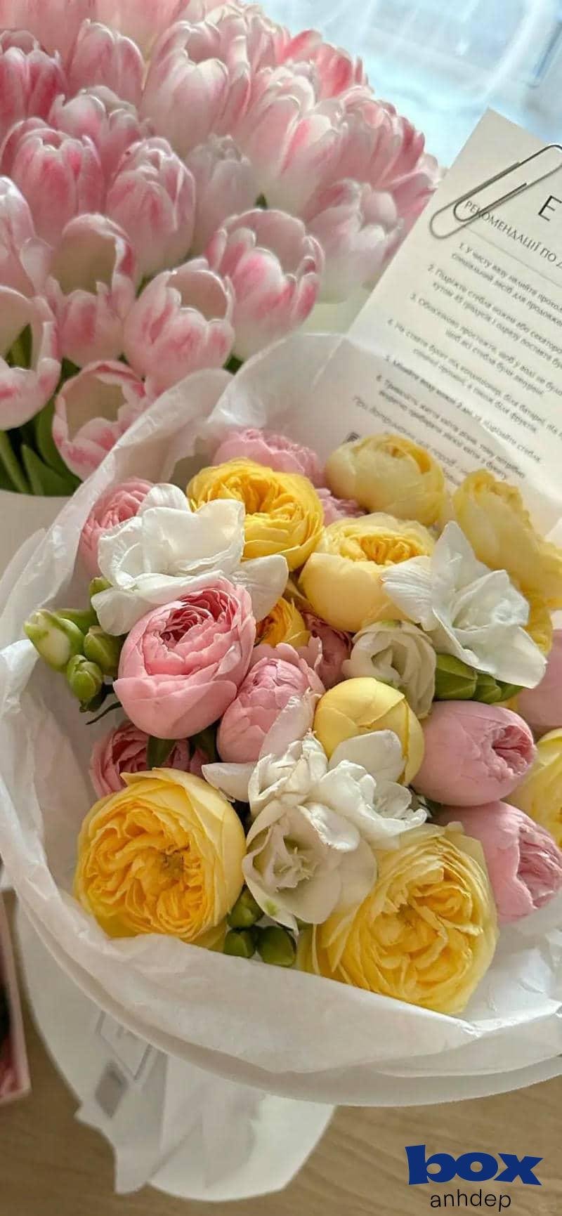 Bộ ảnh hình nền facebook miễn phí