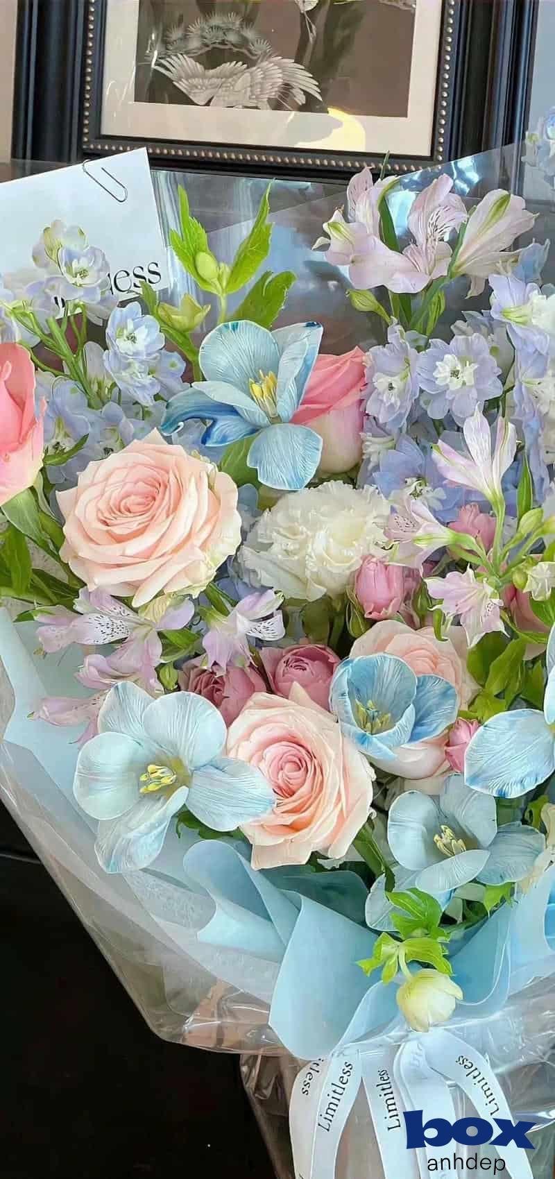 Bộ ảnh hình nền hoa miễn phí