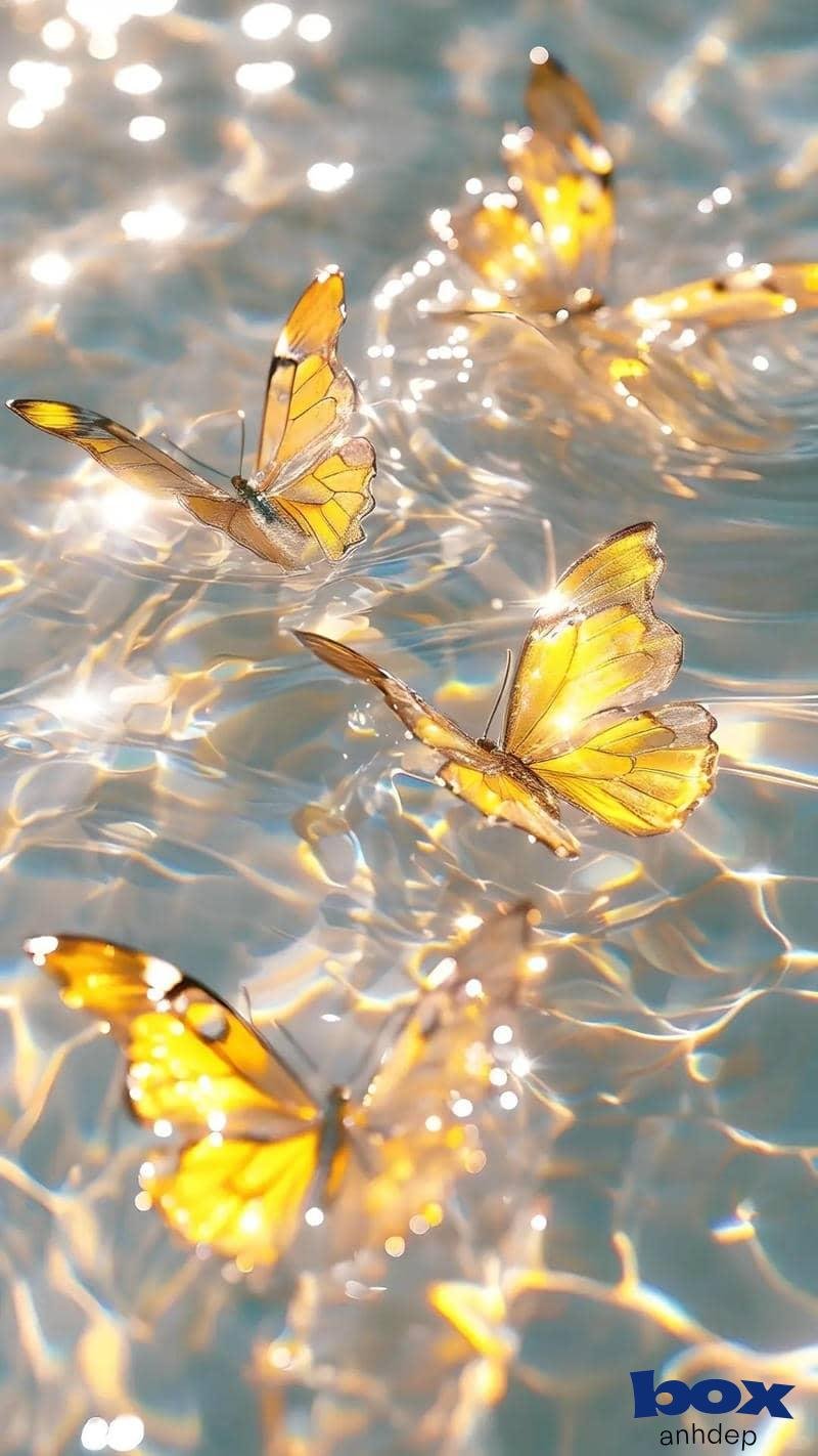 Bộ hình nền 8k cuốn hút