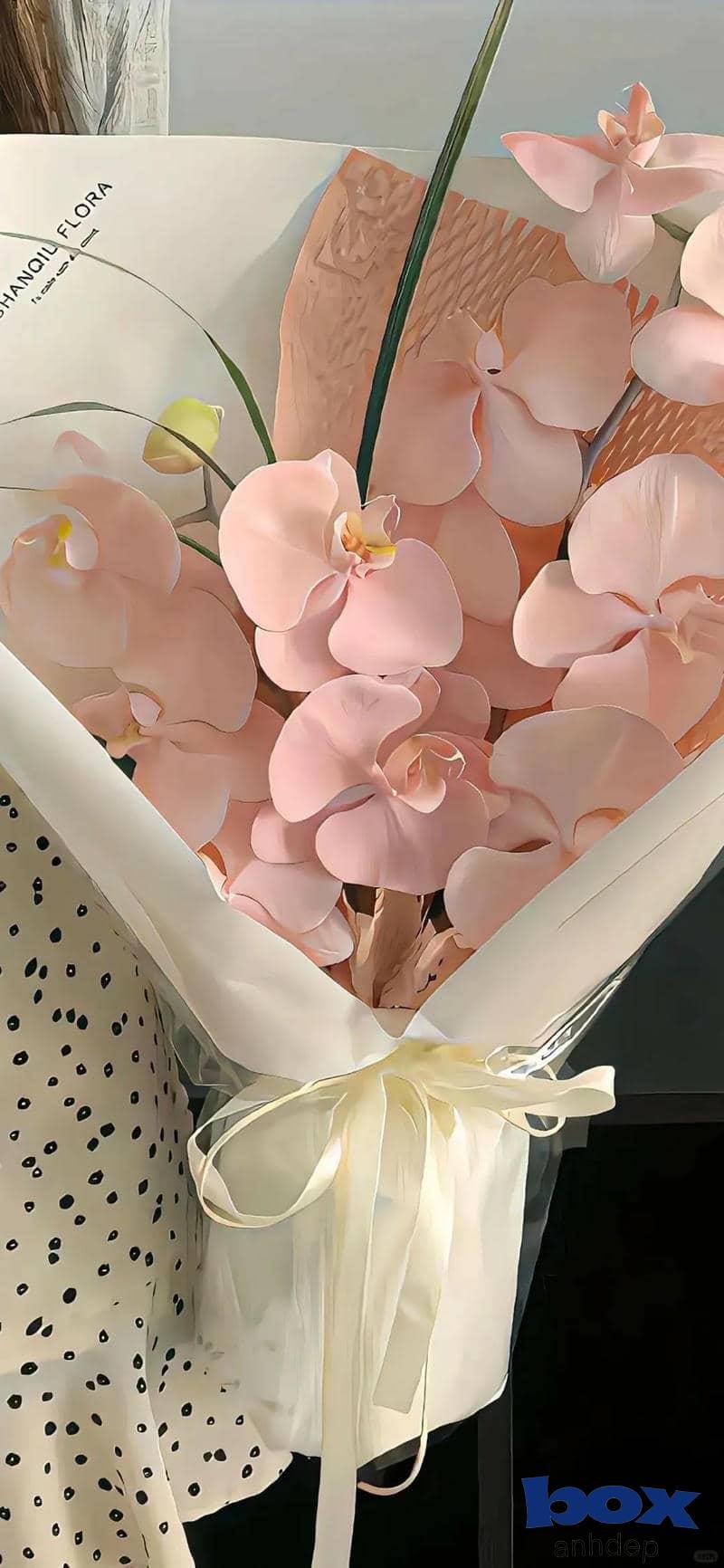 Bộ hình nền hoa thu hút