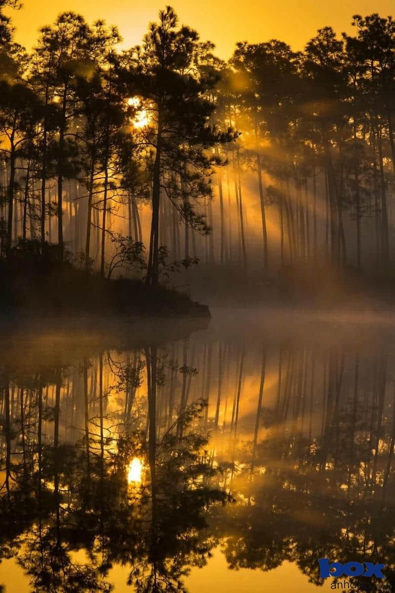 Bộ hình nền phong cảnh thu hút