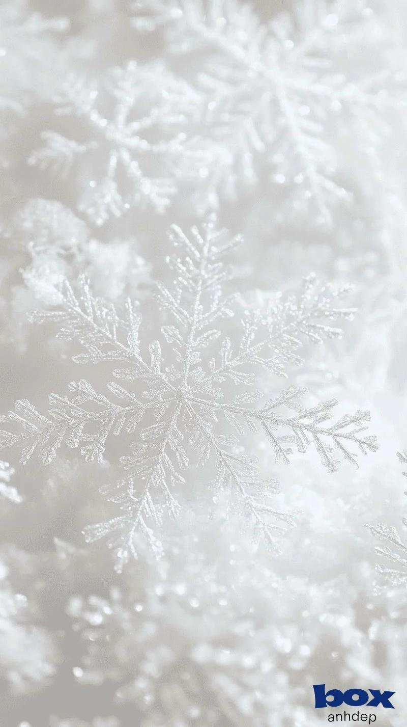 Bộ sưu tập ảnh hình nền trắng đẹp