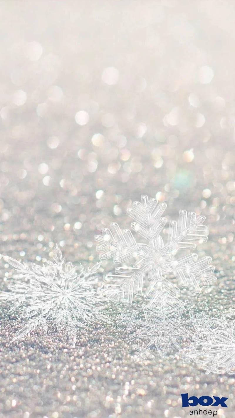 Bộ sưu tập hình nền trắng mới