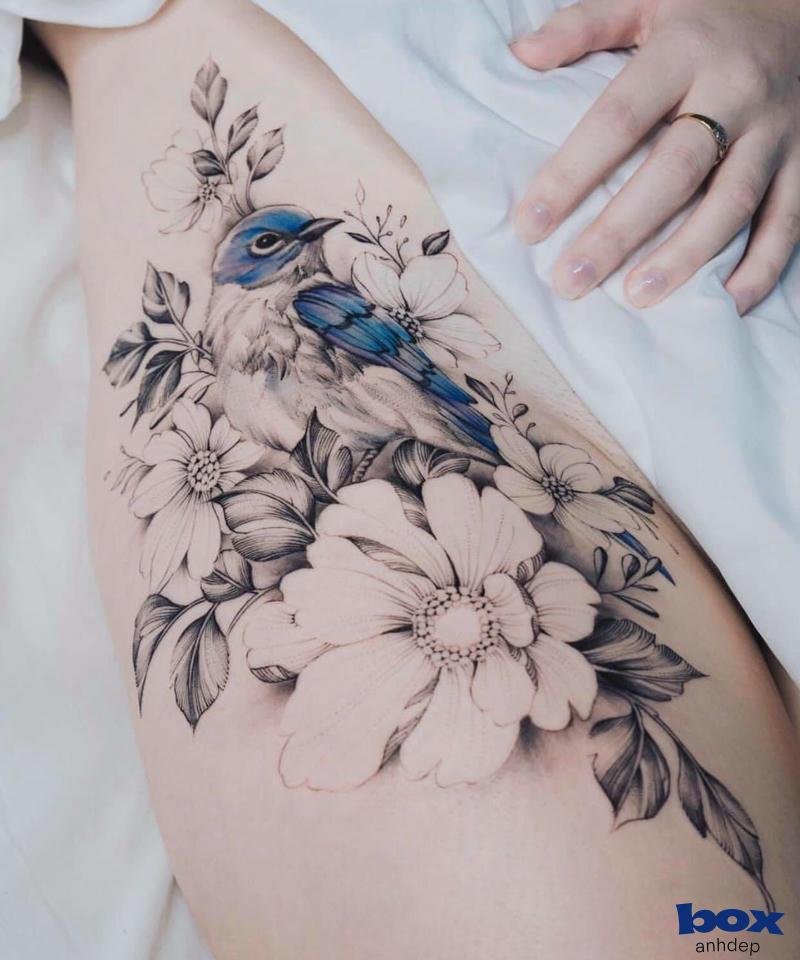 Hình xăm vùng kín ẩn giấu sức hút khó cưỡng