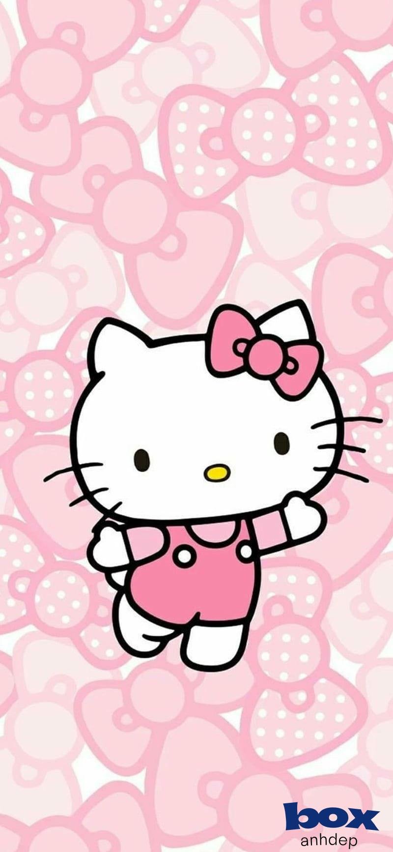 Khám phá hình nền hello kitty cuốn hút