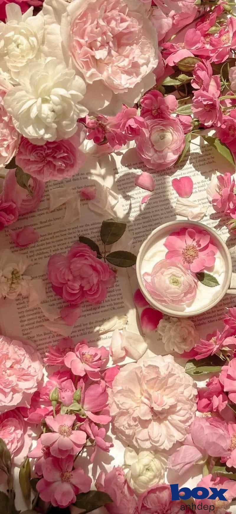 Khám phá hình nền hoa mới nhất