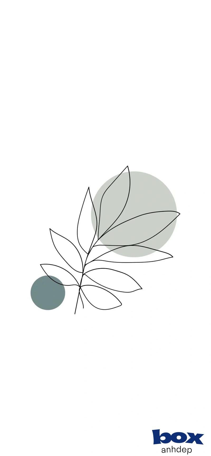 Khám phá hình nền trắng cuốn hút