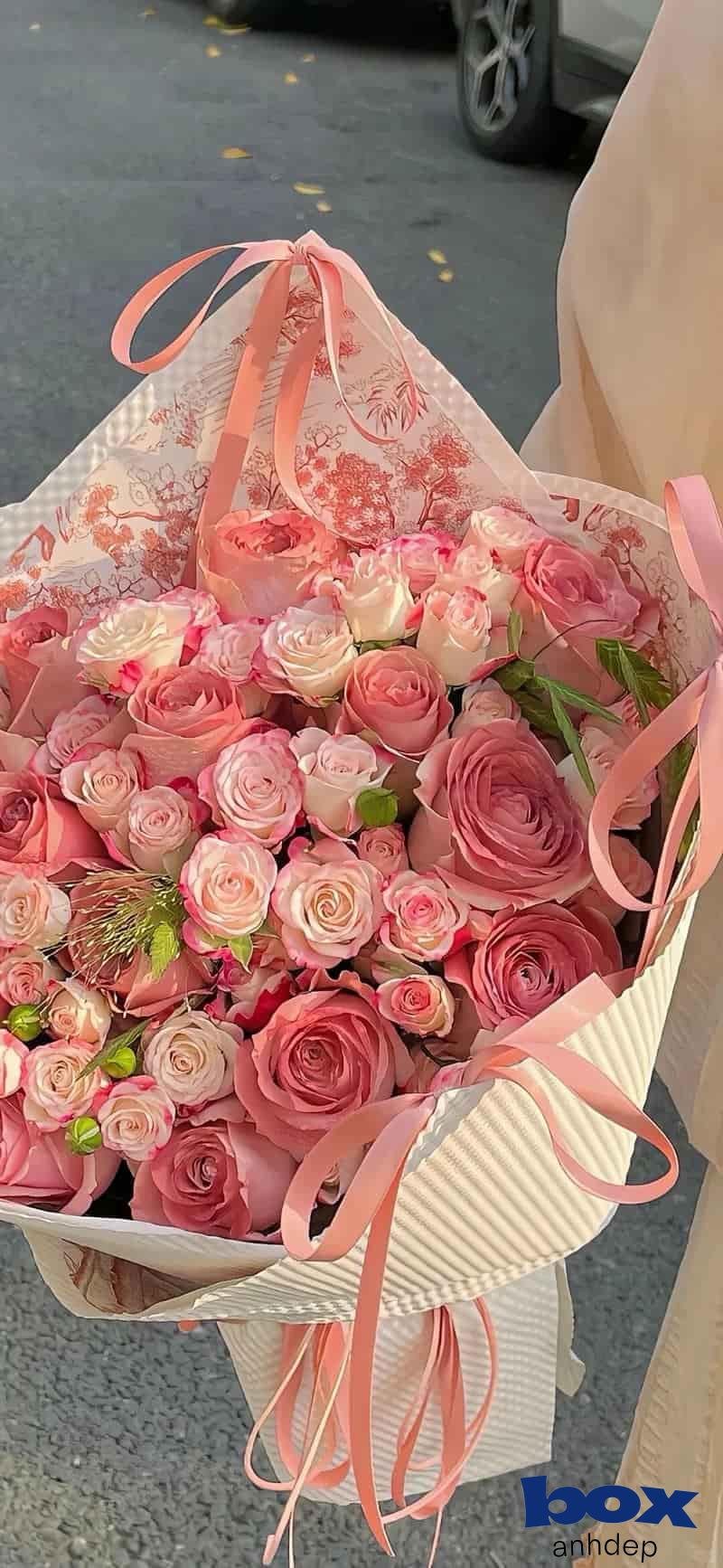 Khám phá kho hình nền hoa mới nhất