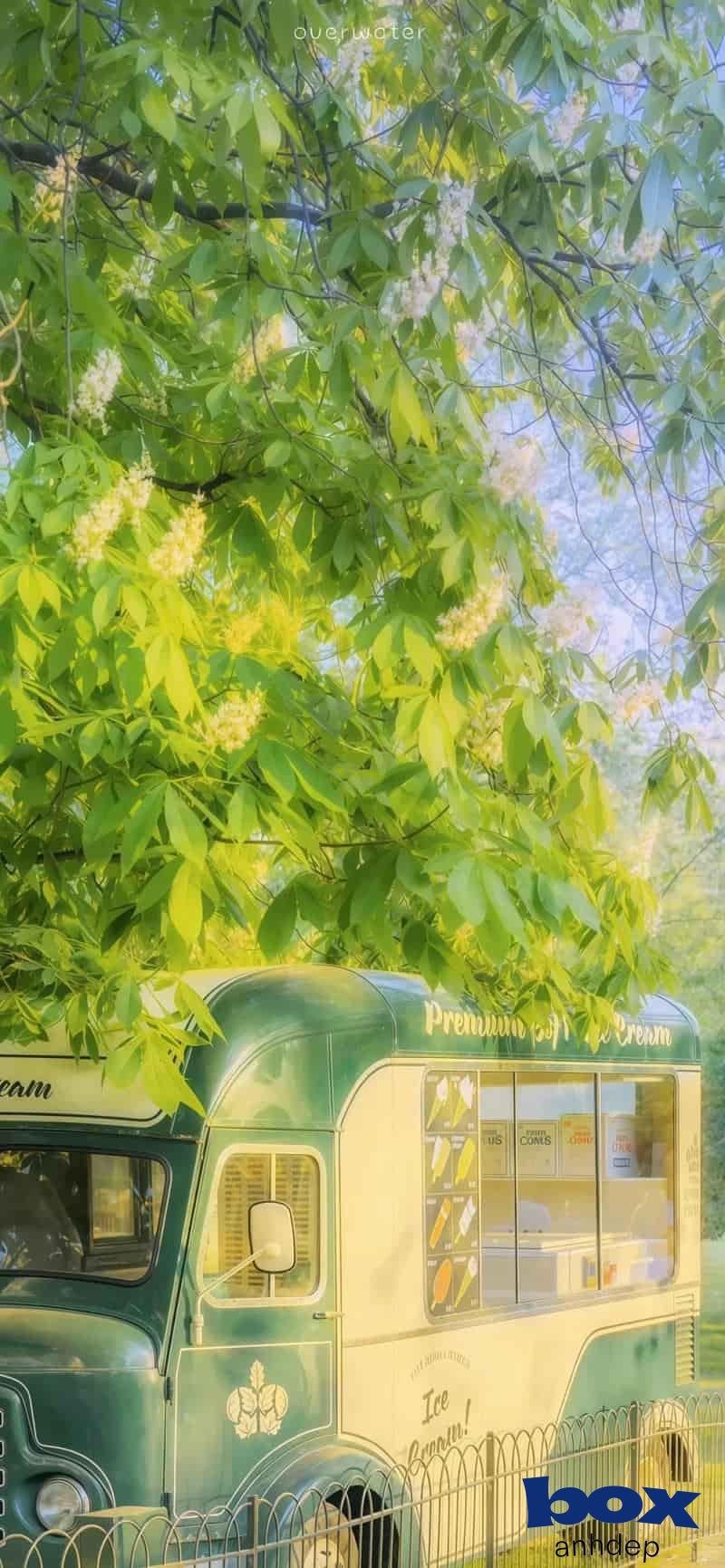 Kho hình nền phong cảnh miễn phí