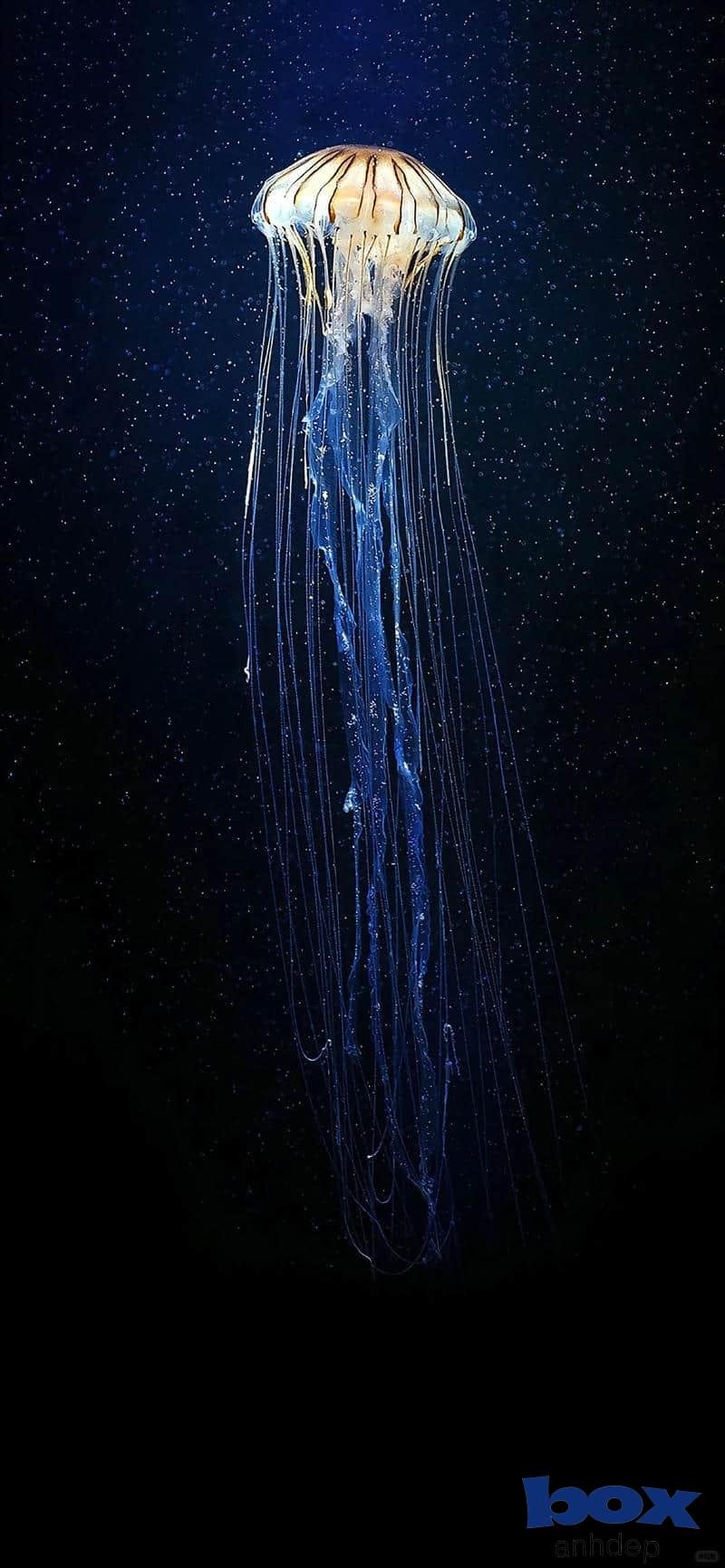 Loạt hình nền 8k chất lượng nhất