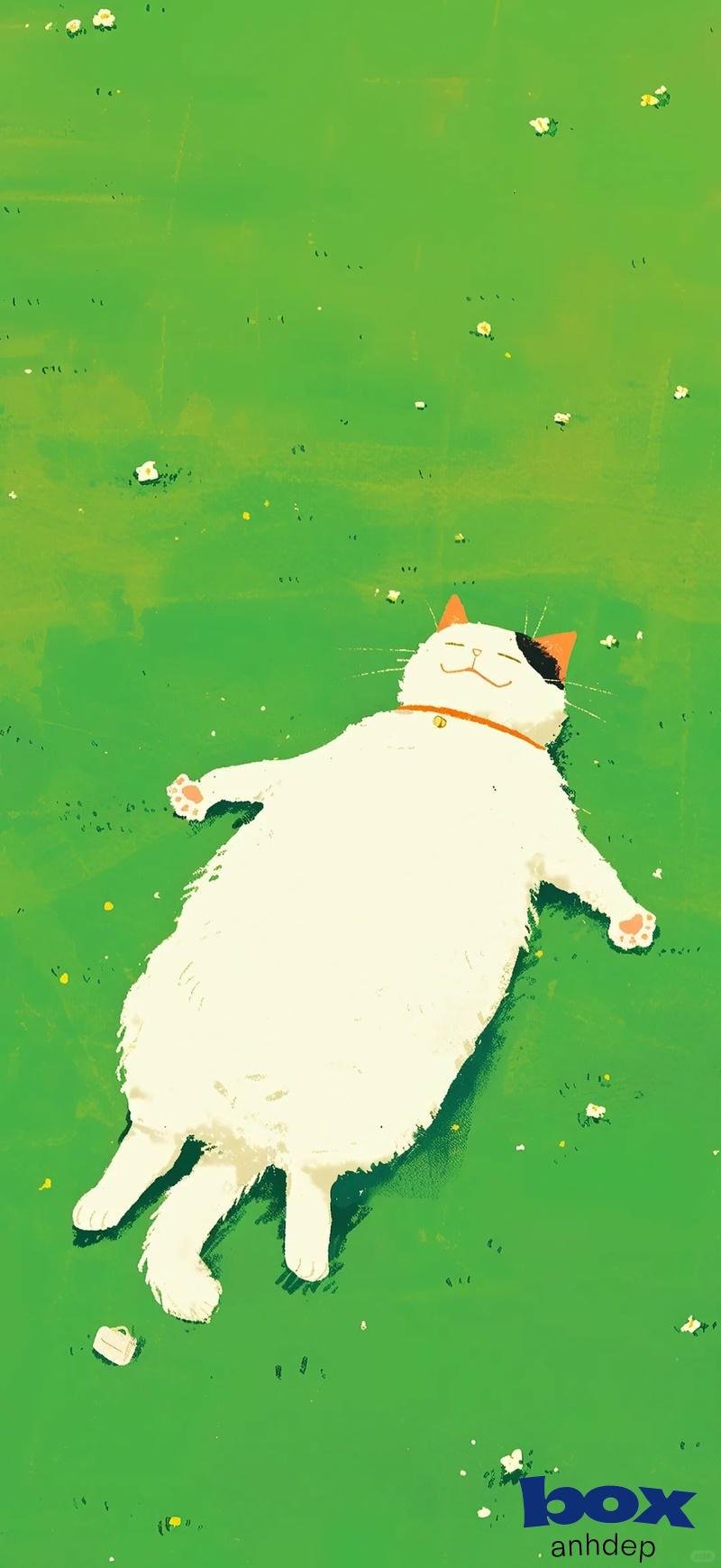 Loạt hình nền chill chất lượng