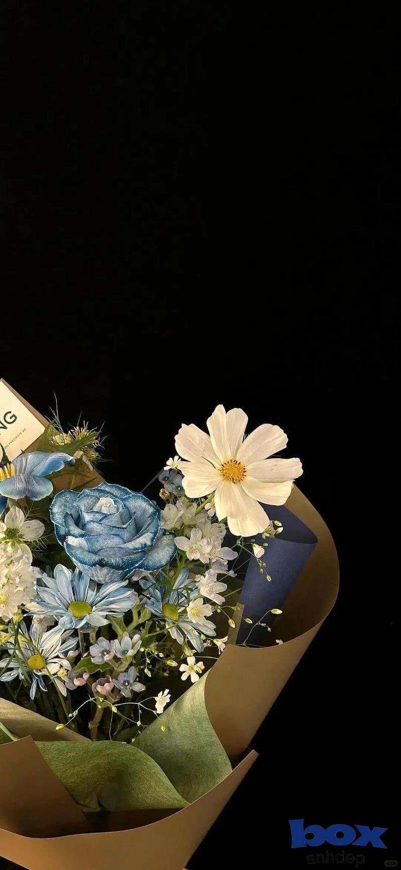 Loạt hình nền hoa chất lượng nhất