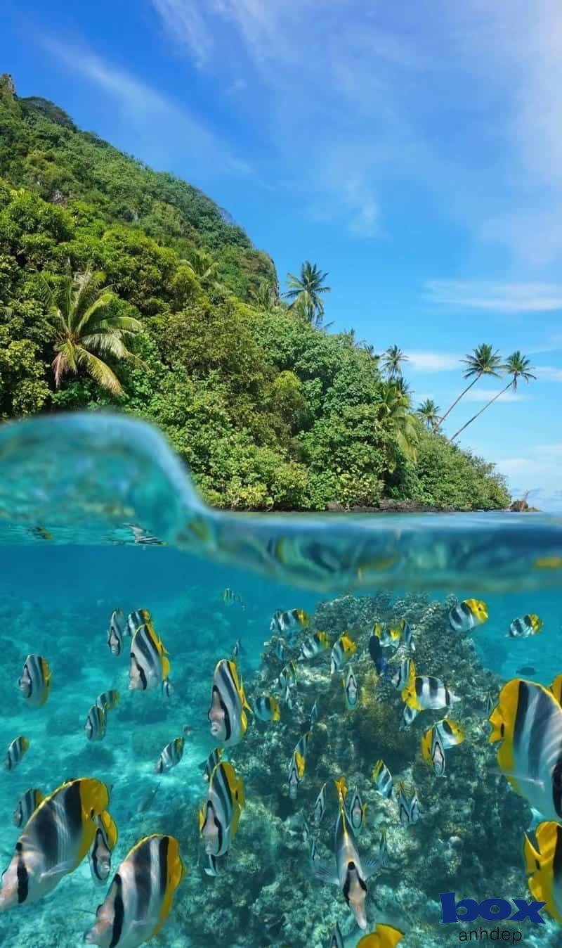 Ngắm bộ hình nền facebook chất lượng cao