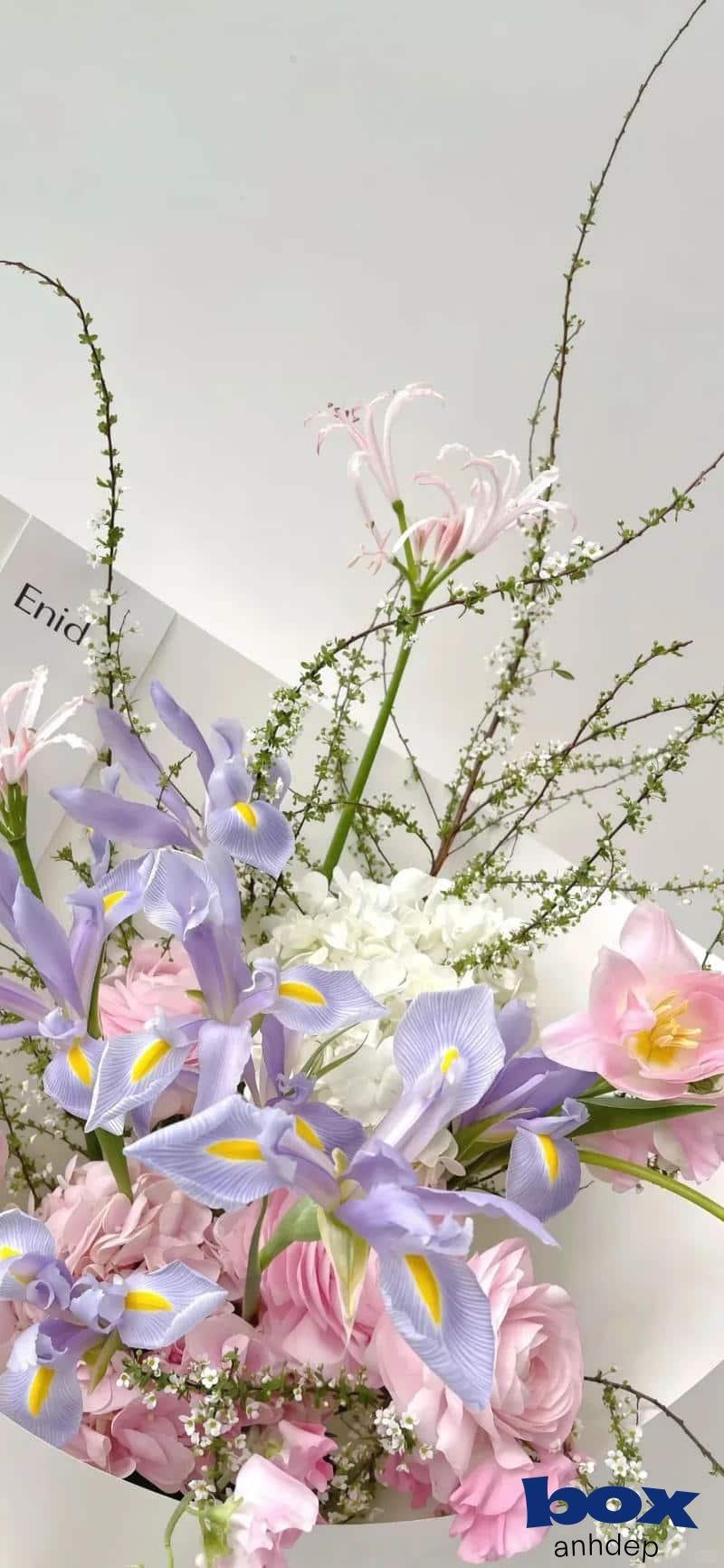 Ngắm bộ hình nền hoa chất lượng cao