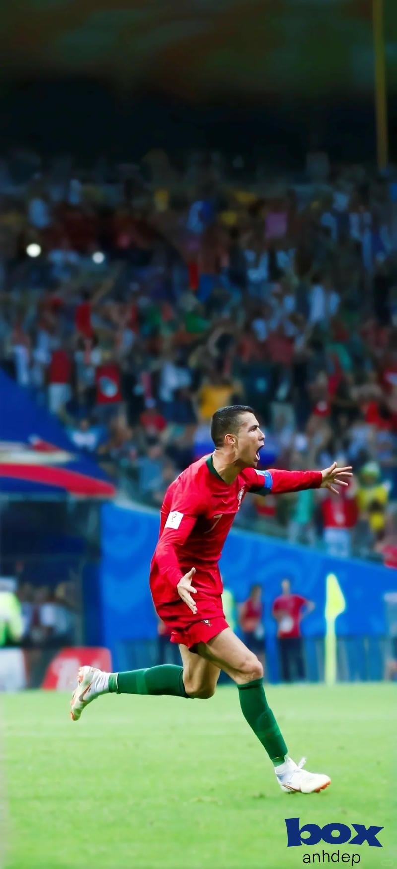 Ngắm bộ hình nền ronaldo chất lượng cao