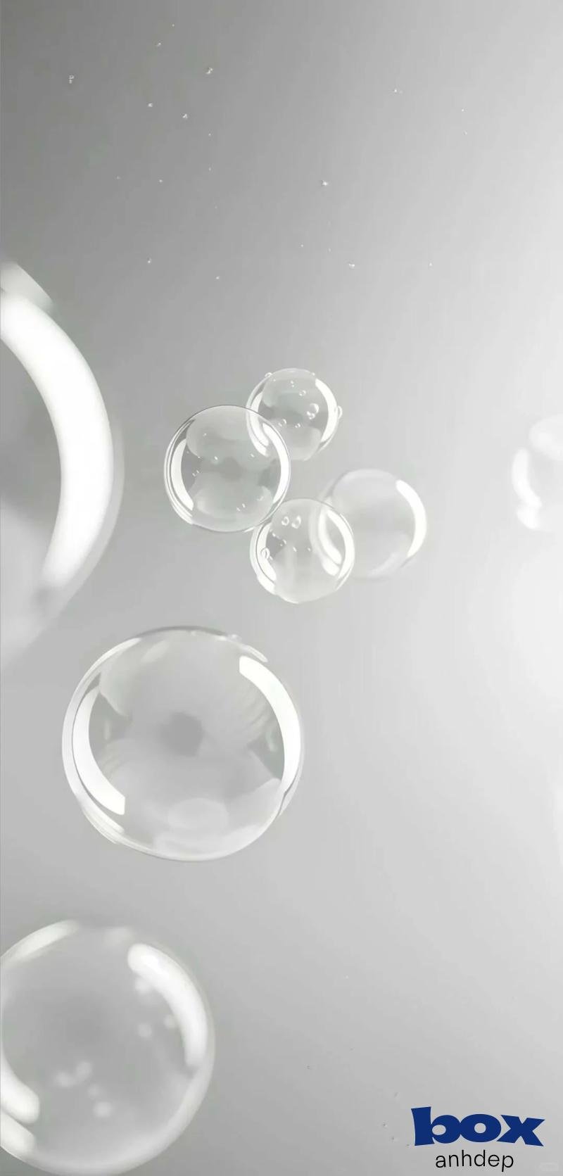 Ngắm bộ hình nền trắng chất lượng cao