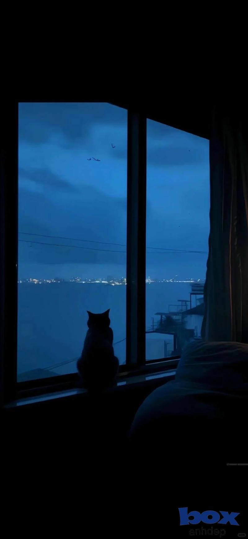 Ngắm hình nền chill mới nhất