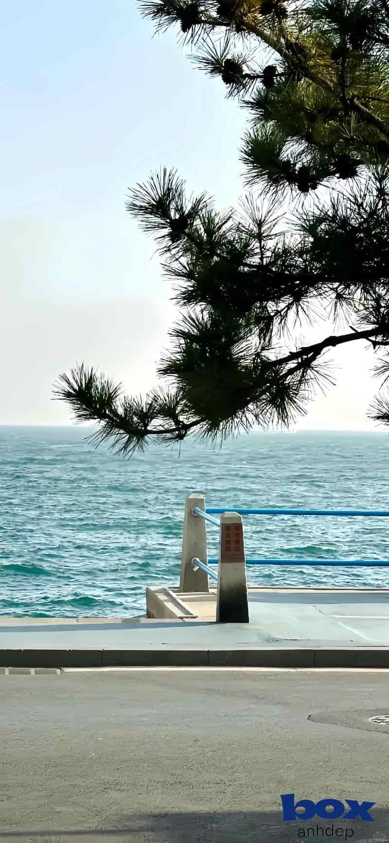 Tải ảnh hình nền chill độc quyền