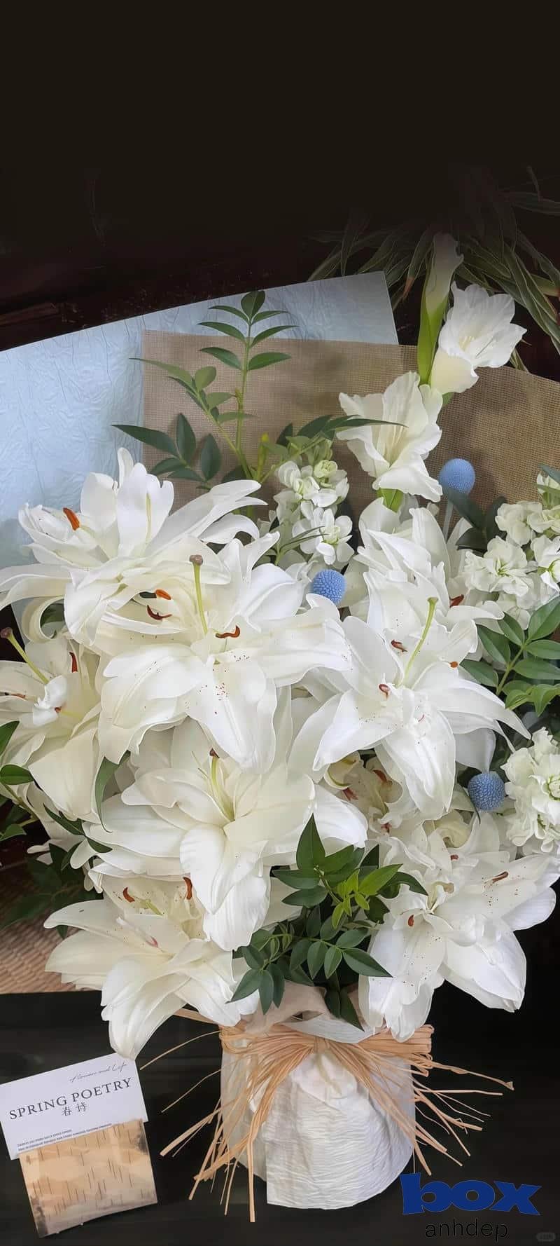 Tải ảnh hình nền hoa độc quyền