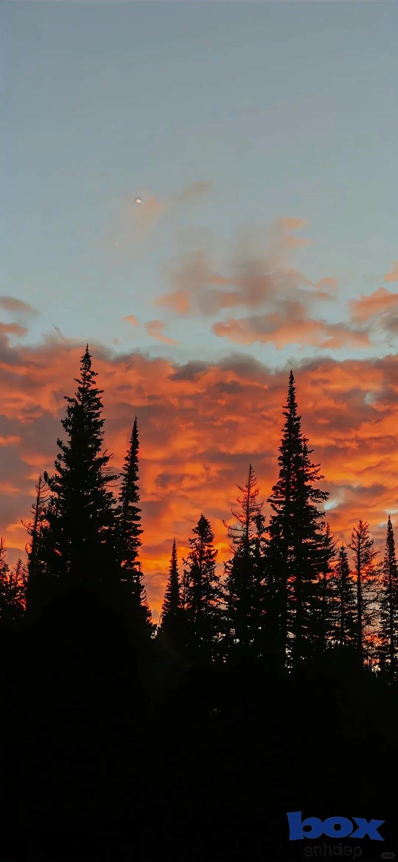 Tải bộ hình nền 8k mới nhất