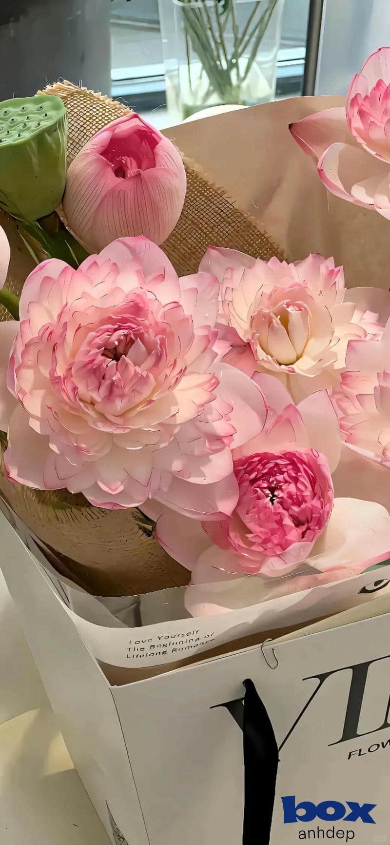 Tải bộ hình nền hoa mới nhất