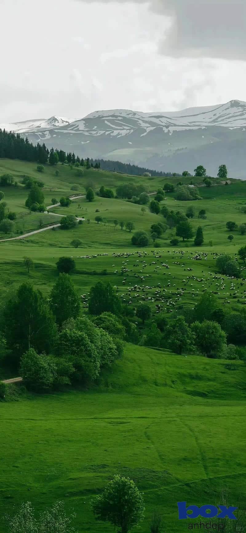 Tải bộ hình nền phong cảnh mới nhất