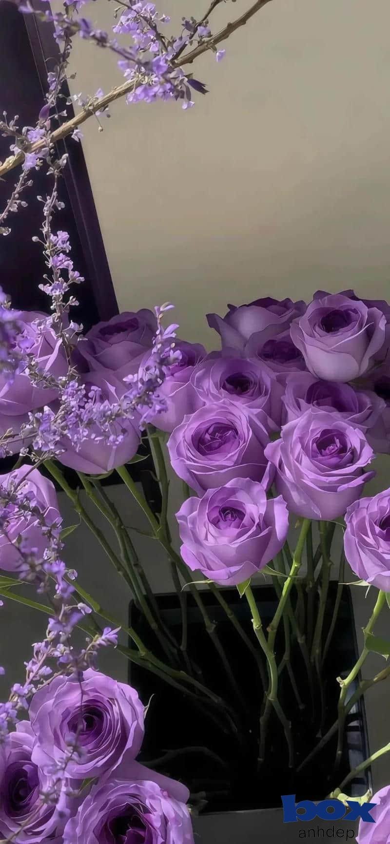 Tải hình nền hoa mới