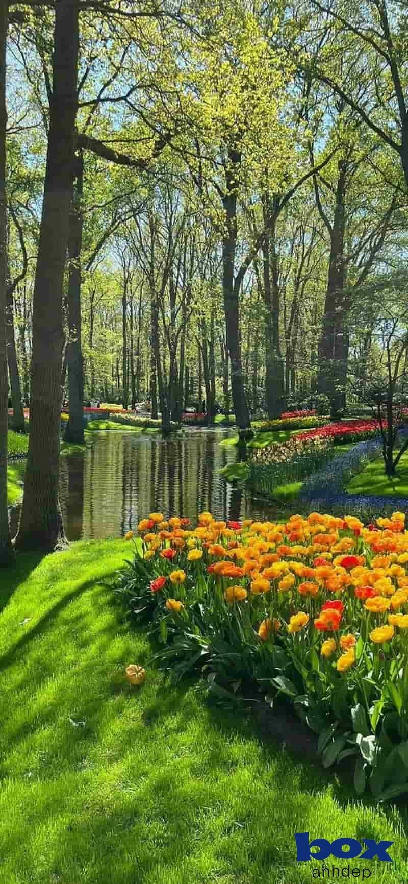 99+ hình nền phong cảnh thiên nhiên, 3D cực đẹp, full HD