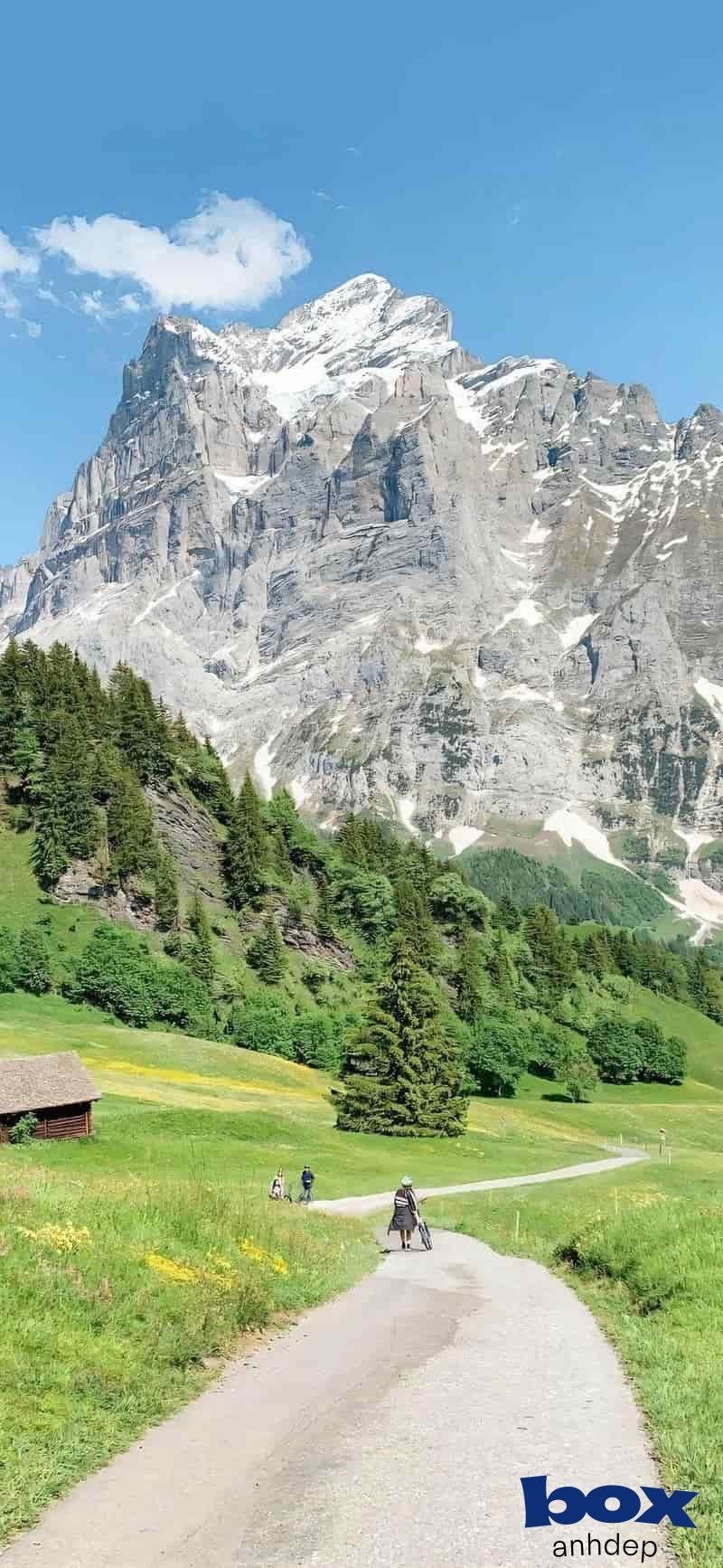 Tải về hình nền phong cảnh chất lượng cao