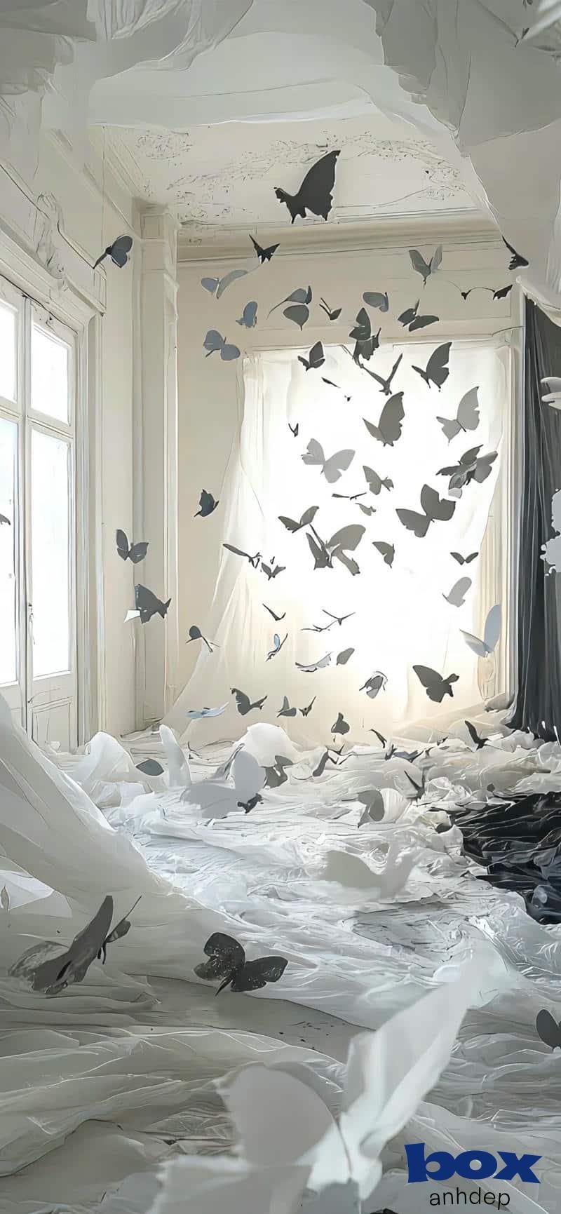 Tải về hình nền trắng chất lượng cao