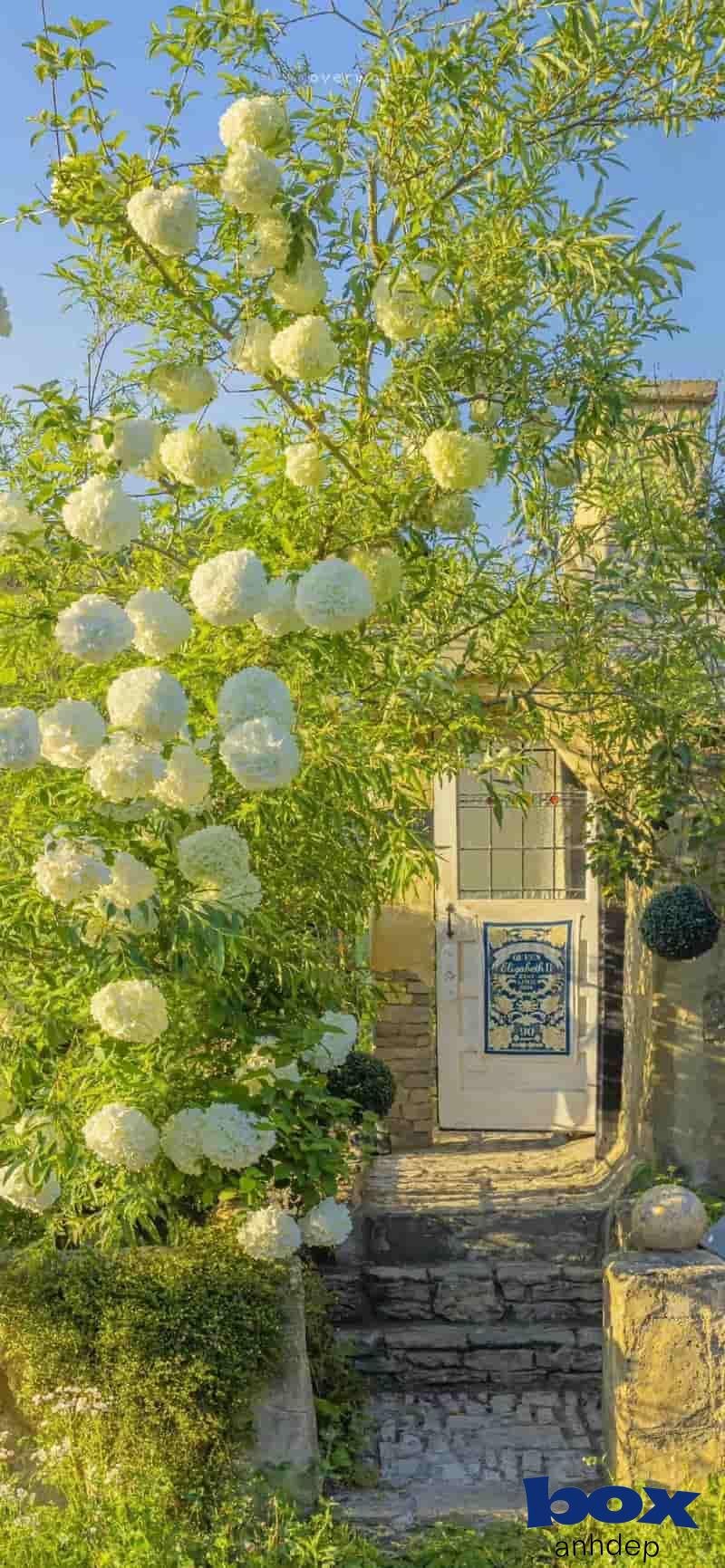 Tuyển chọn hình nền chill thu hút