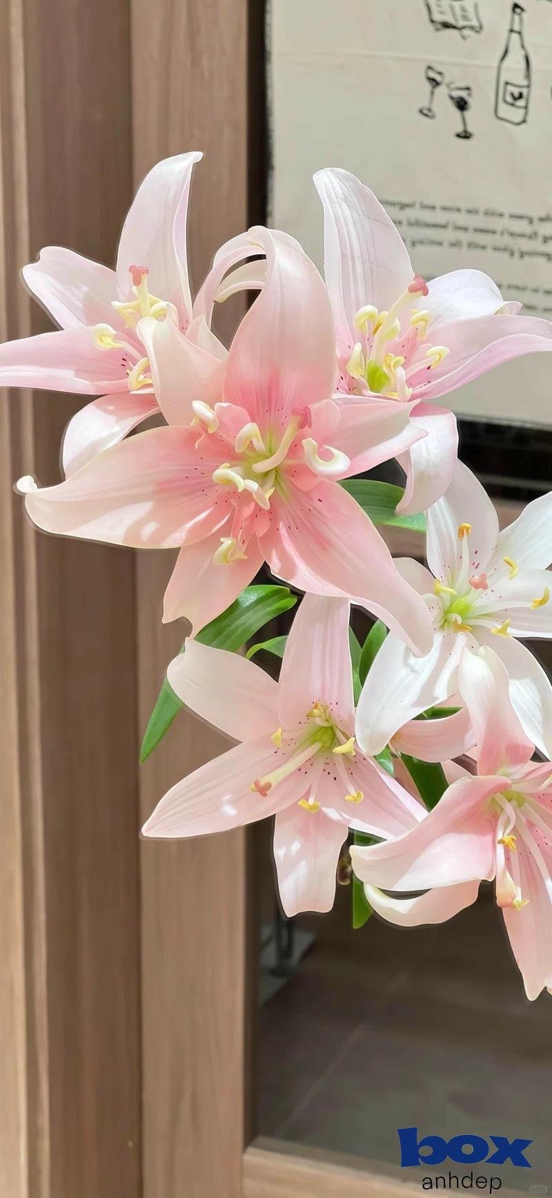 Tuyển tập bộ hình nền hoa miễn phí