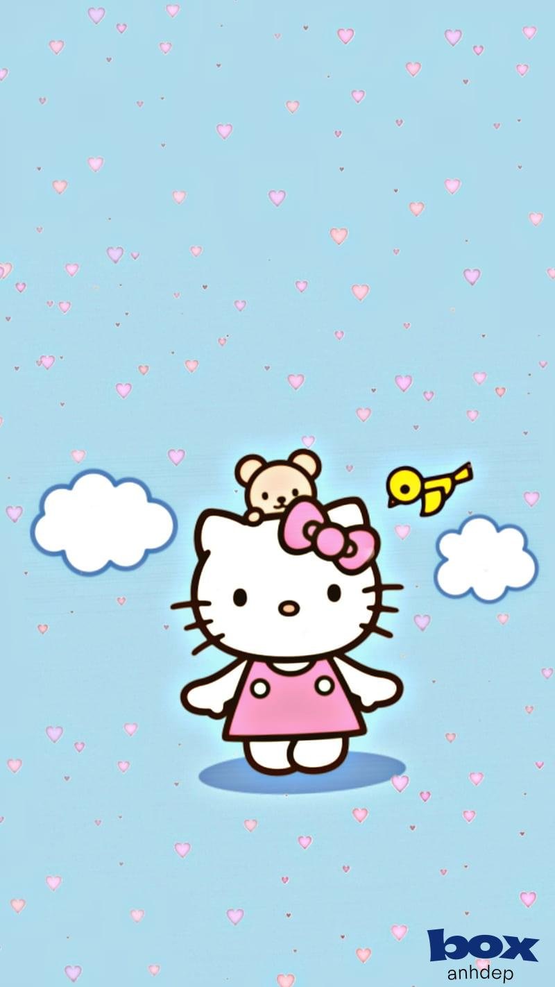 Xem hình hình nền hello kitty chất lượng