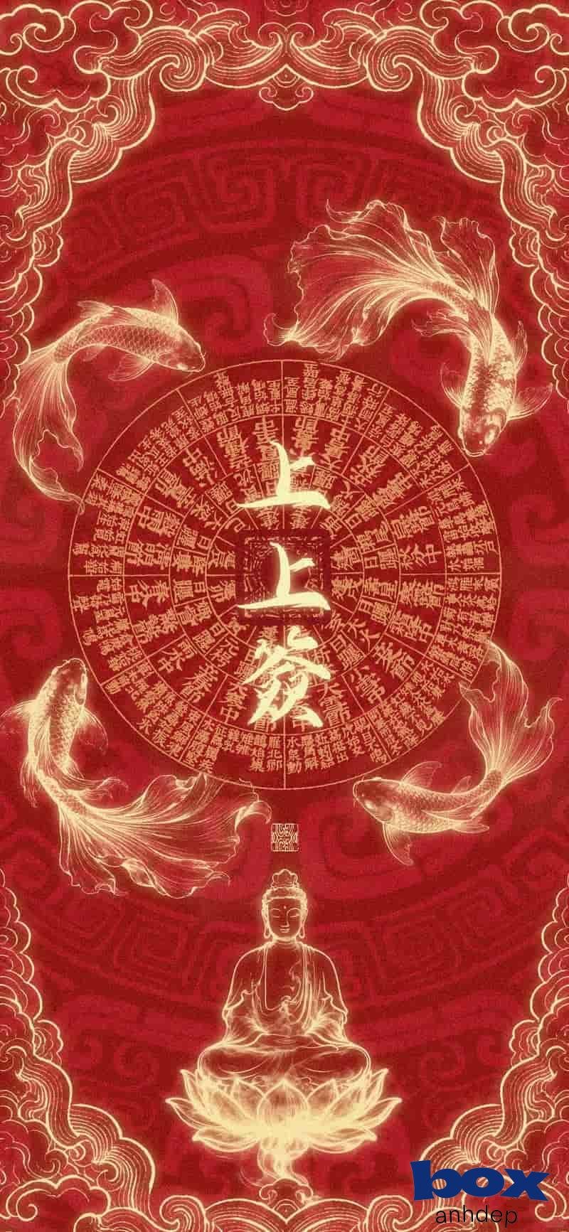 Xem hình nền may mắn đẹp