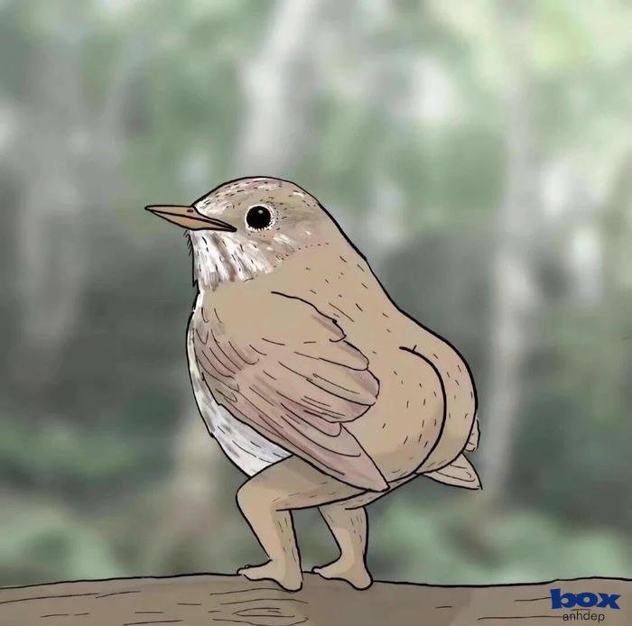 ảnh đại diện bựa đầy đủ