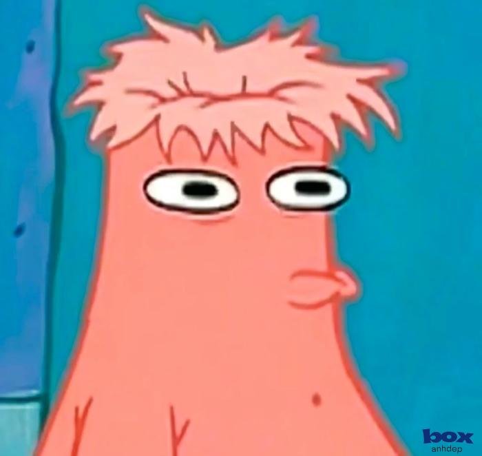 ảnh đại diện bựa khó đỡ