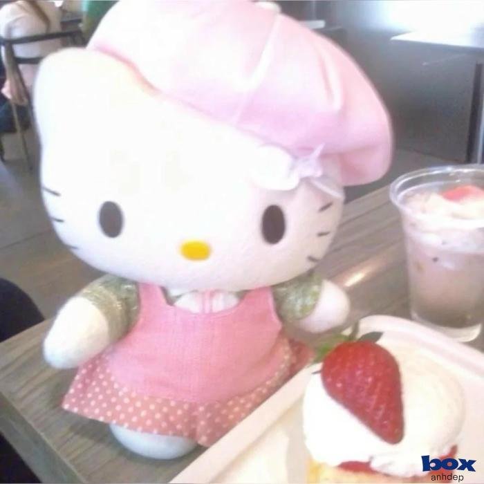 ảnh đại diện hello kitty hồng