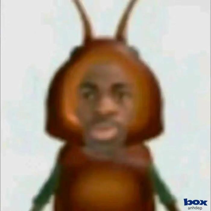 ảnh hài rực lửa vui nhộn