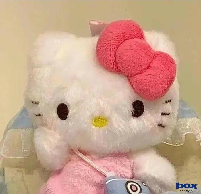 ảnh hello kitty đầy đủ chi tiết