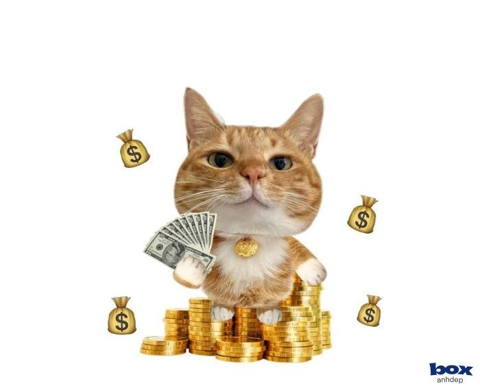 ánh mắt tỏa sáng trên avatar tiktok