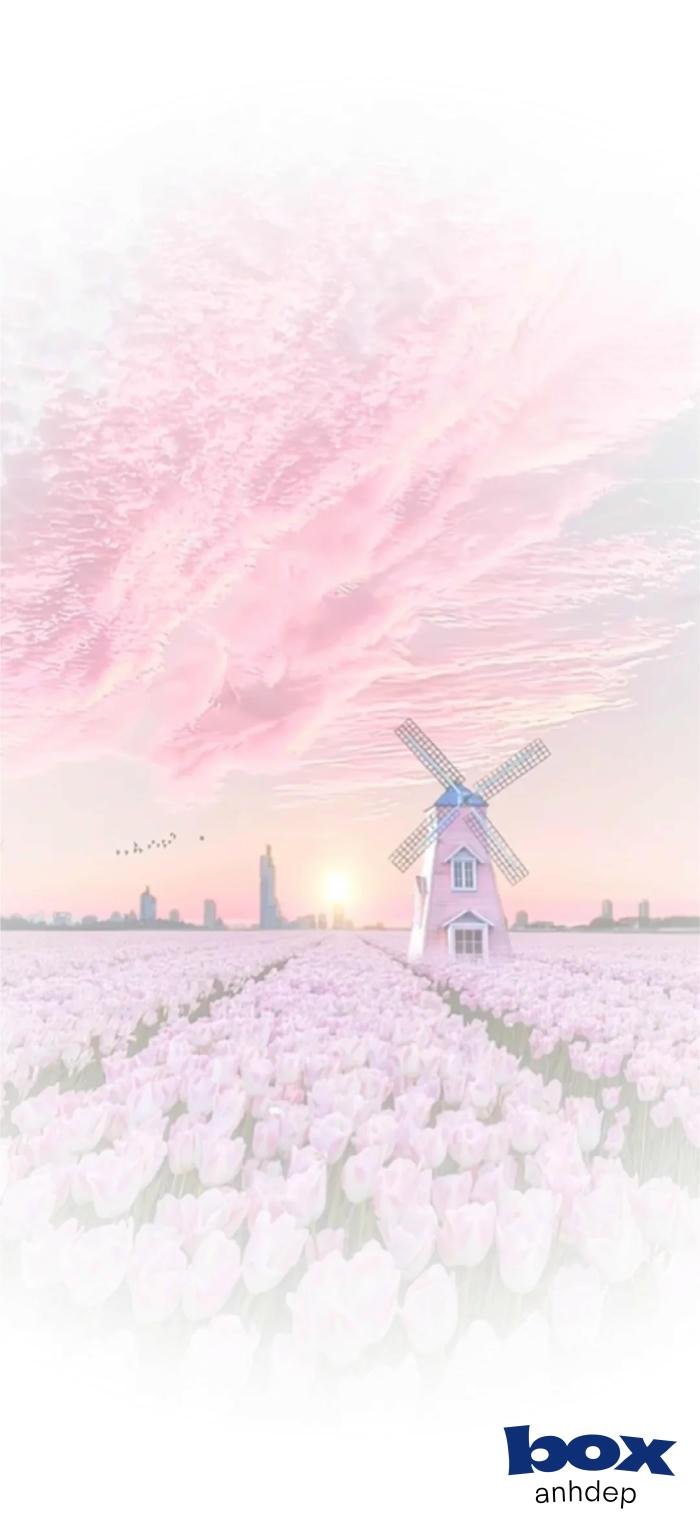 ảnh màu hồng siêu nét