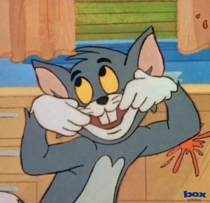 ảnh profile hài hước nhất