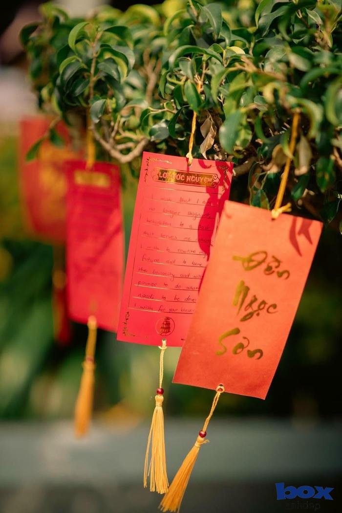 ảnh profile tết may mắn