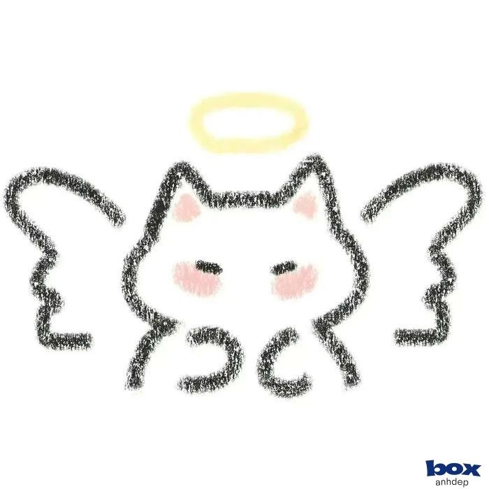 ảnh profile thanh lịch