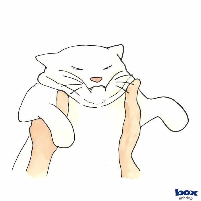 ảnh profile tinh tế