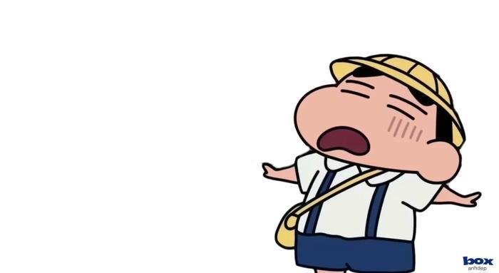 ảnh shin tinh tế duyên dáng