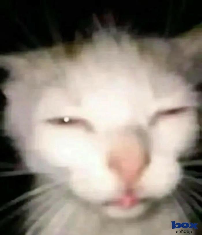 ảnh tiktok nam ngầu độc đáo